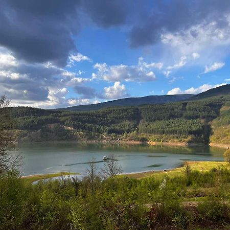 Zavojsko Jezero - Vila Jezero Pirot Extérieur photo