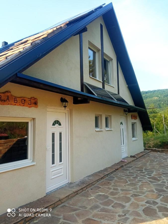 Zavojsko Jezero - Vila Jezero Pirot Extérieur photo