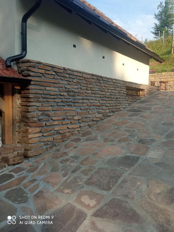 Zavojsko Jezero - Vila Jezero Pirot Extérieur photo