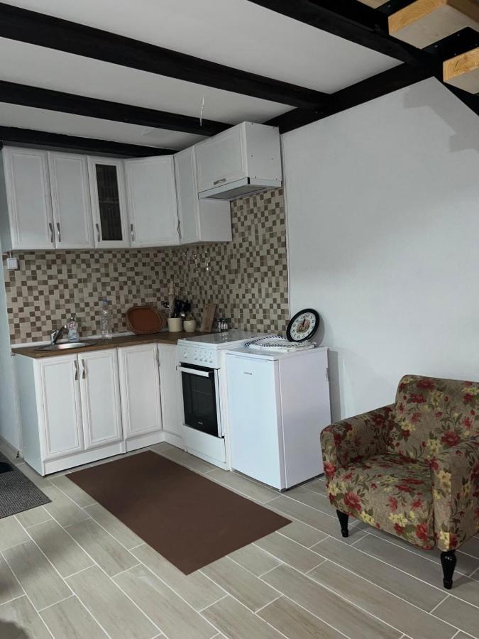Zavojsko Jezero - Vila Jezero Pirot Extérieur photo