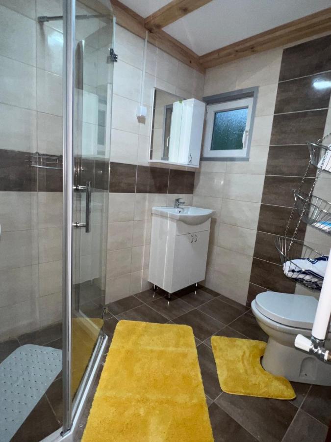 Zavojsko Jezero - Vila Jezero Pirot Extérieur photo