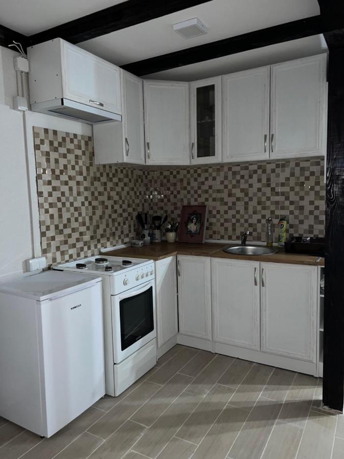 Zavojsko Jezero - Vila Jezero Pirot Extérieur photo