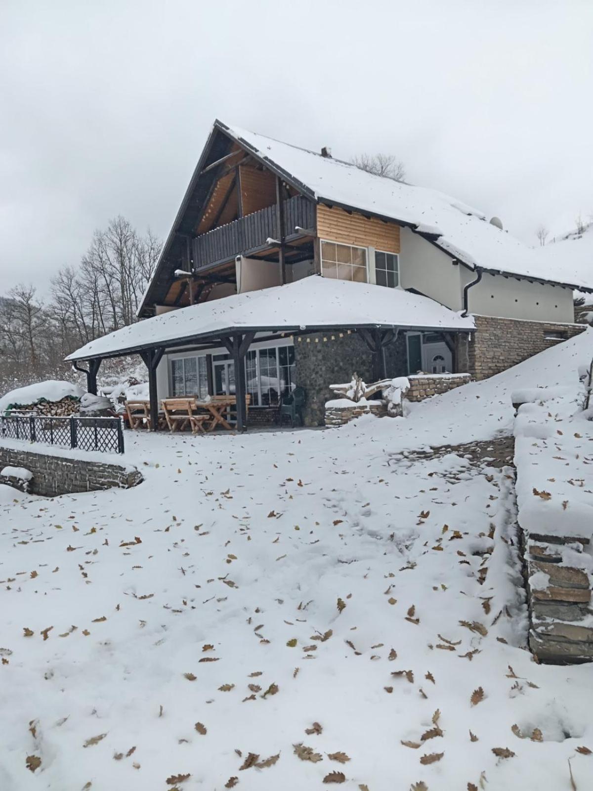 Zavojsko Jezero - Vila Jezero Pirot Extérieur photo
