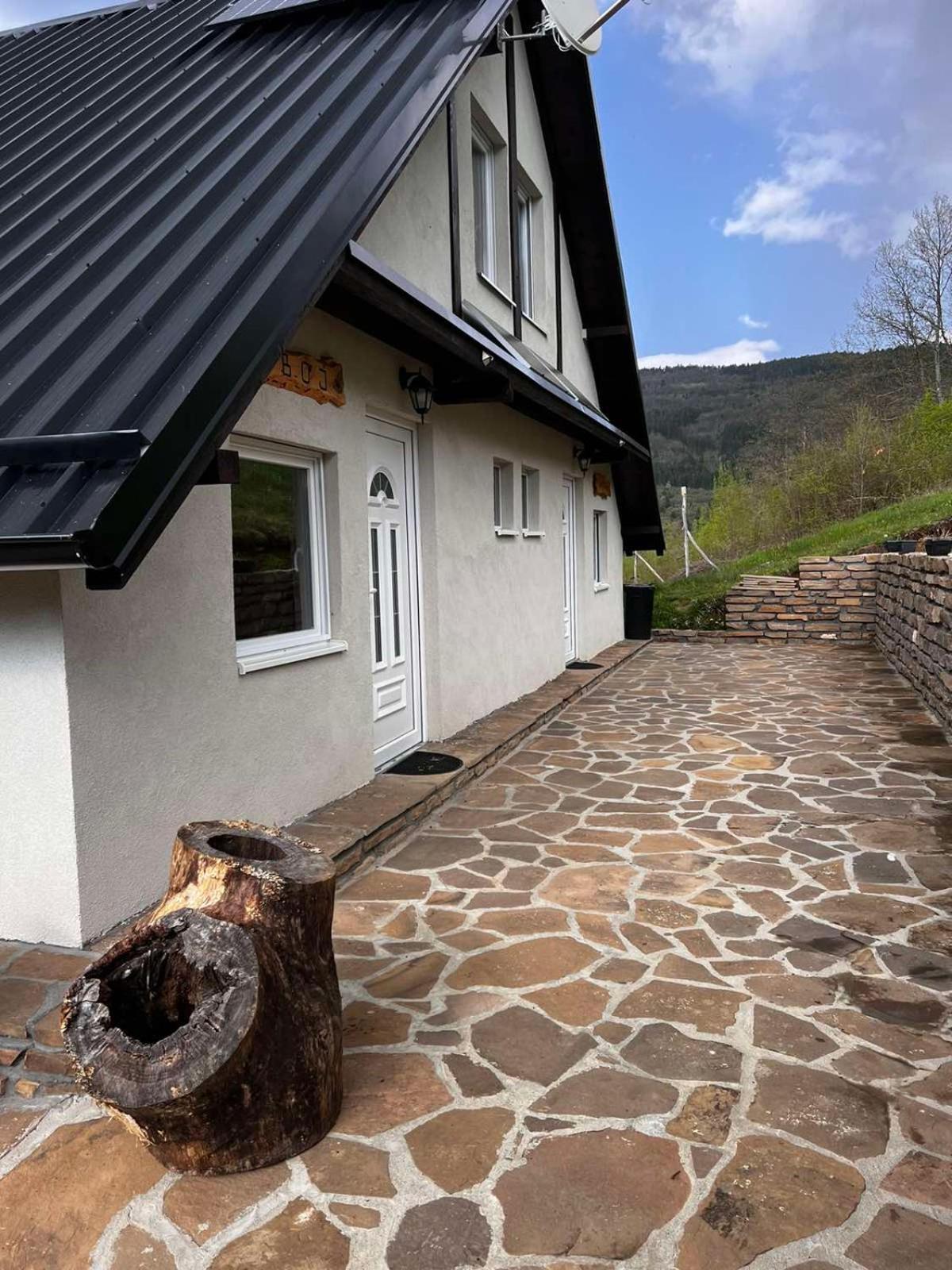 Zavojsko Jezero - Vila Jezero Pirot Extérieur photo